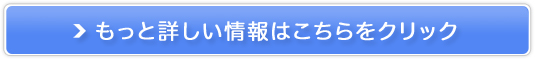 {fBfUC@xCU[bz̔TCg
